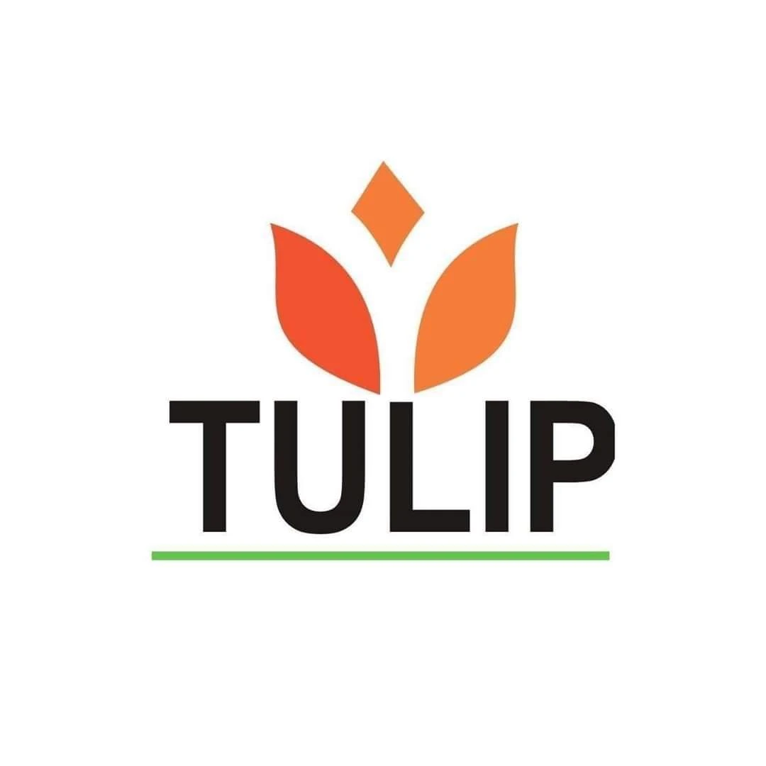 Tulip